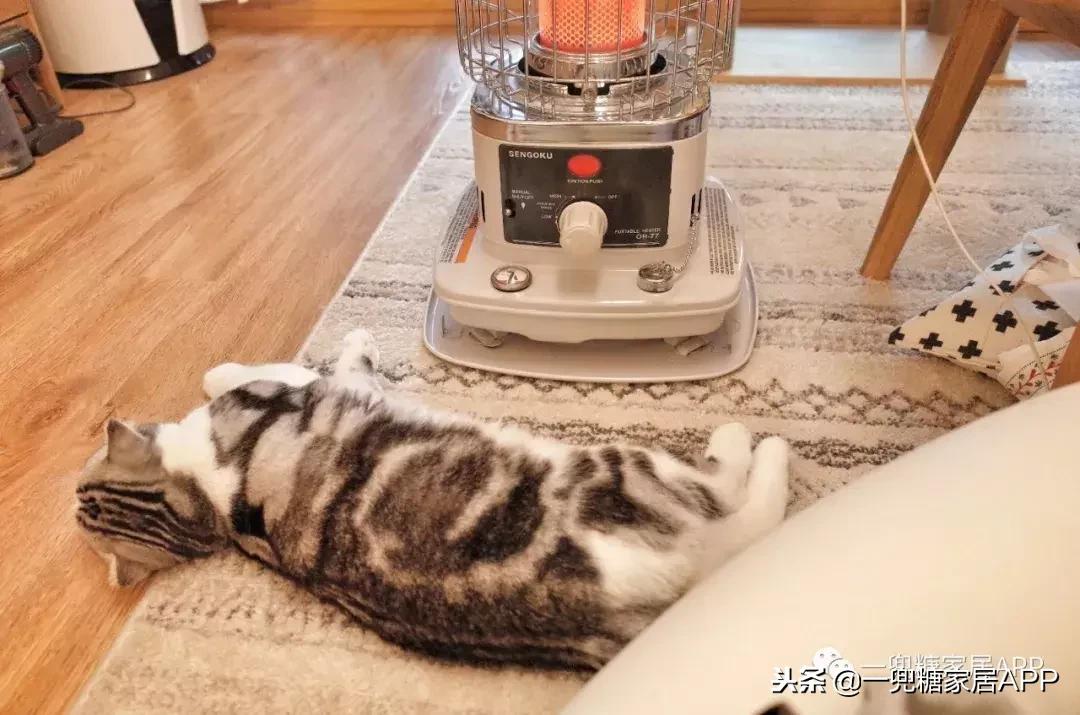 冬天必备的超级好物,冬天必备好物分享