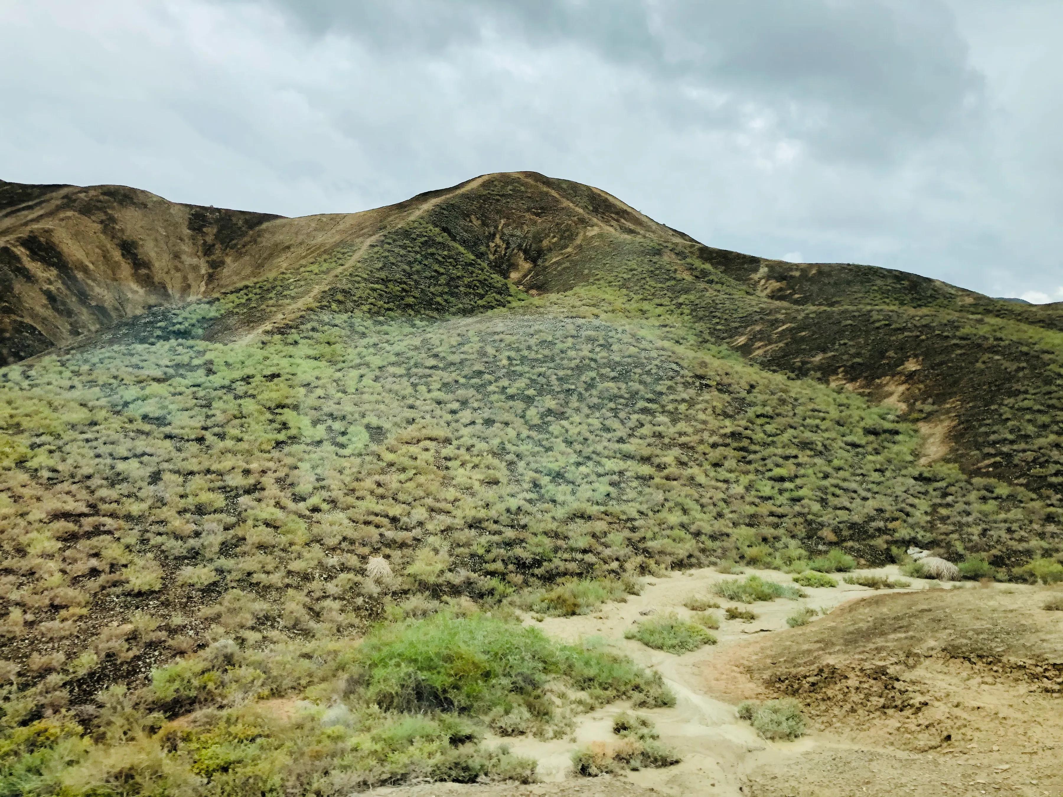 糖尿病病退标准,糖尿病病人医生该怎么下医嘱