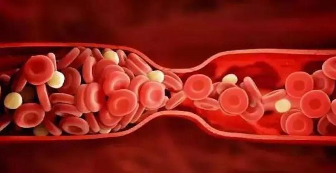 红花颜色掩千花任是猩猩血未加