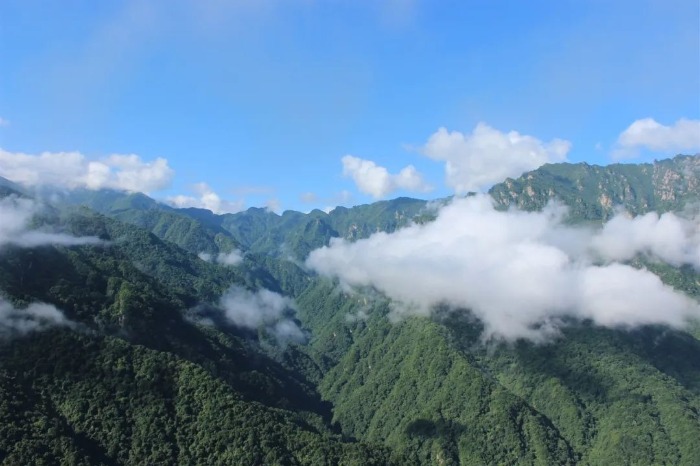 宝鸡夏日避暑好去处,宝鸡周边的避暑胜地