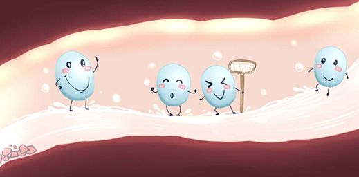 牛初乳免疫球蛋白益生菌粉的功效,牛初乳益生菌真的能提高免疫力吗