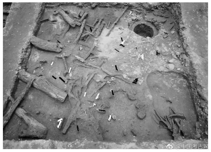 成都发现宝藏店,成都西门有哪些景点