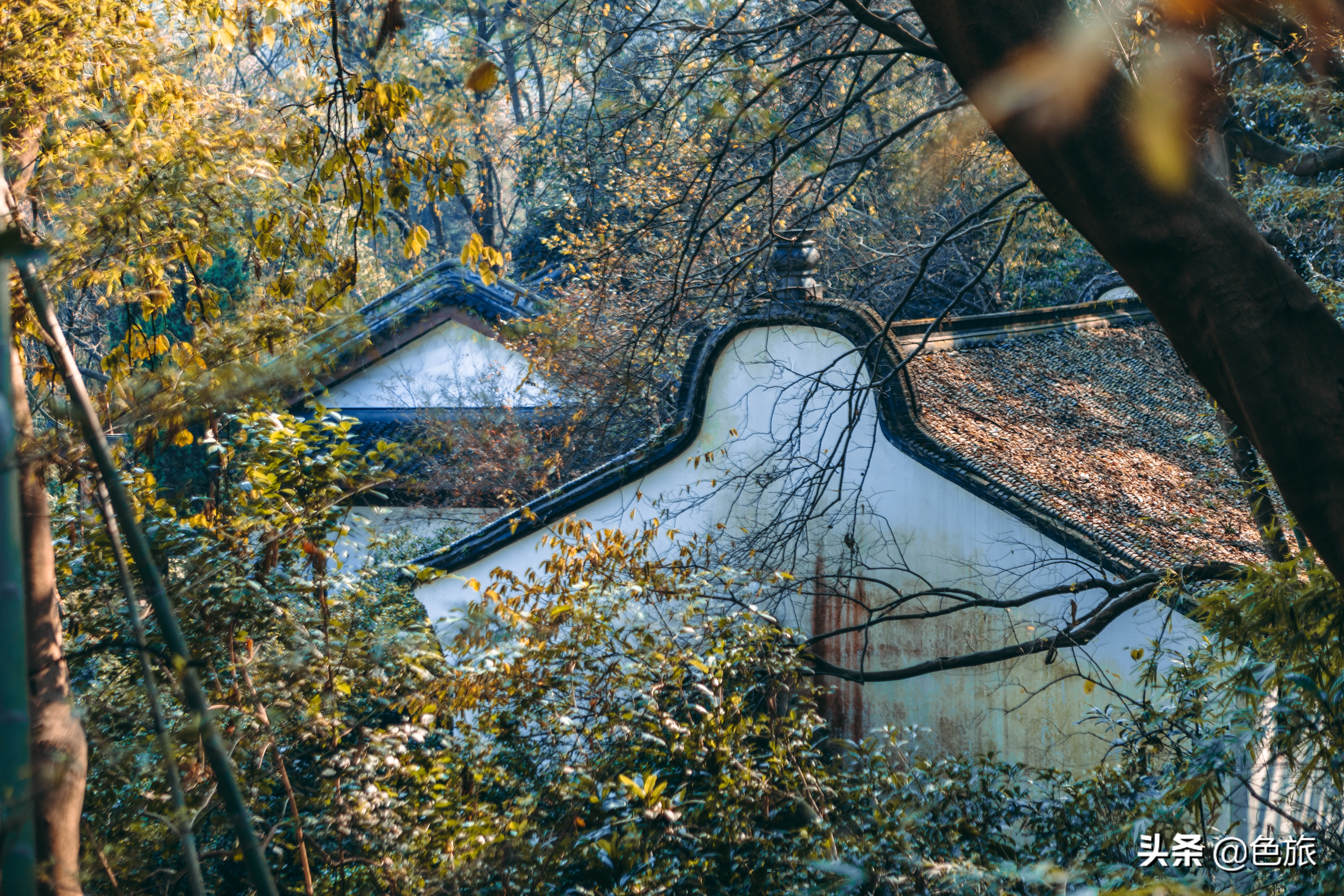 逆水寒游历虎跑梦泉怎么出葫芦,杭州游玩虎跑泉