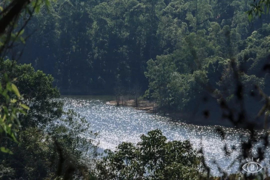 深圳最适合亲子游的好去处,深圳周末家庭游玩好去处
