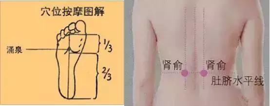 脾虚补肾为什么越补越虚,补肾越补越虚是怎么回事