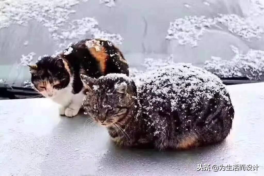 壁炉带给生活一种无法忘怀的情调,冬日氛围感壁炉