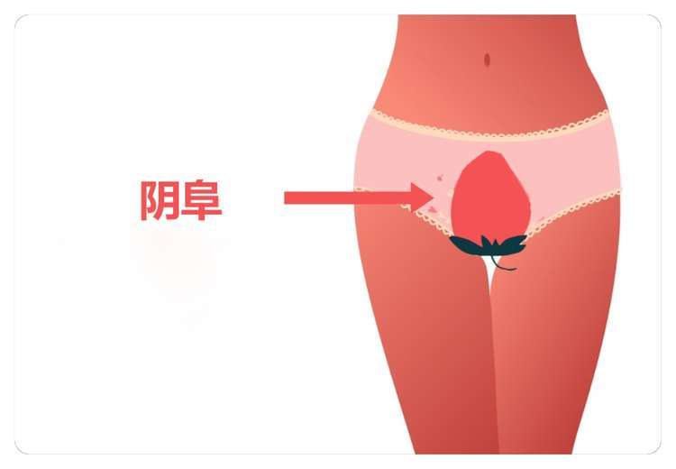 小腹大穿紧身裤,穿紧身裤肚子就不舒服什么原因