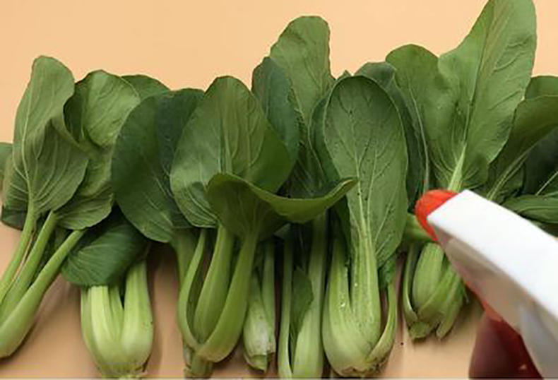 现在青菜哪种有营养,青菜的种类和食用方法