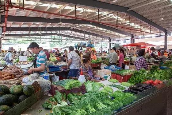 卧虎藏龙里的人情世故,卧虎藏龙金木水火土