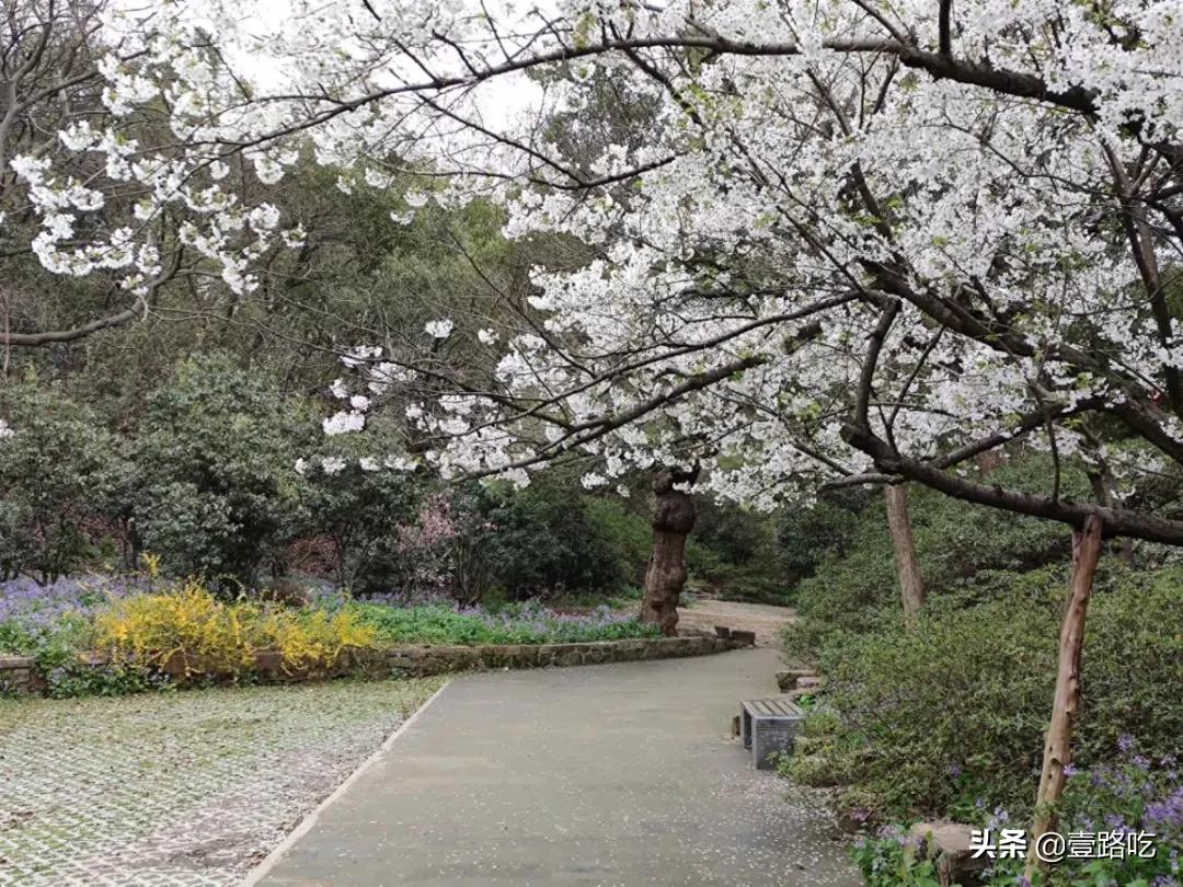 无锡人都在吃什么,无锡人为什么喜欢吃甜的