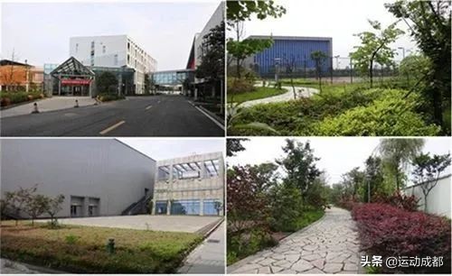 你真的是太有料了----四川体育职业学院