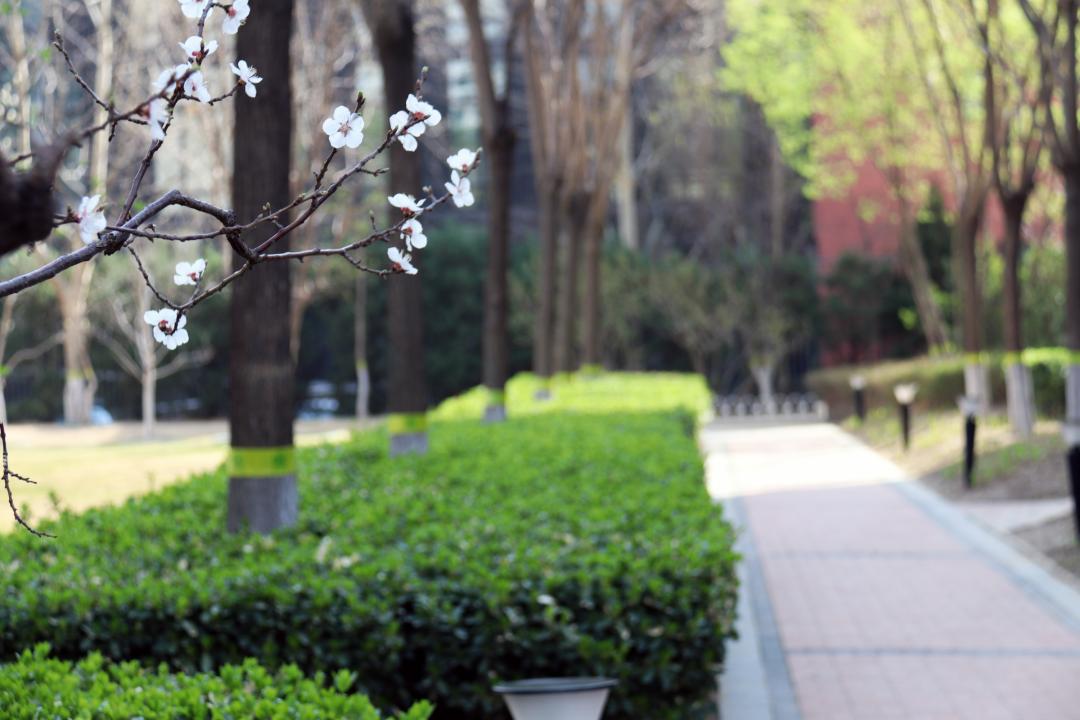 走在春天里简谱,歌曲走在春天里