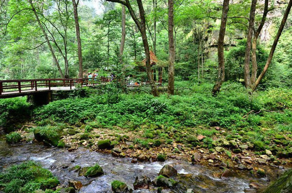 张家界天气预报15天准确旅游攻略,张家界凤凰古城芙蓉镇自驾游攻略