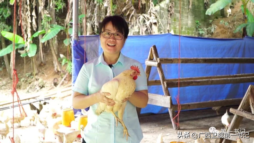 “仙草林”有什么致富宝？“罗曼粉”还可以下“金蛋.......