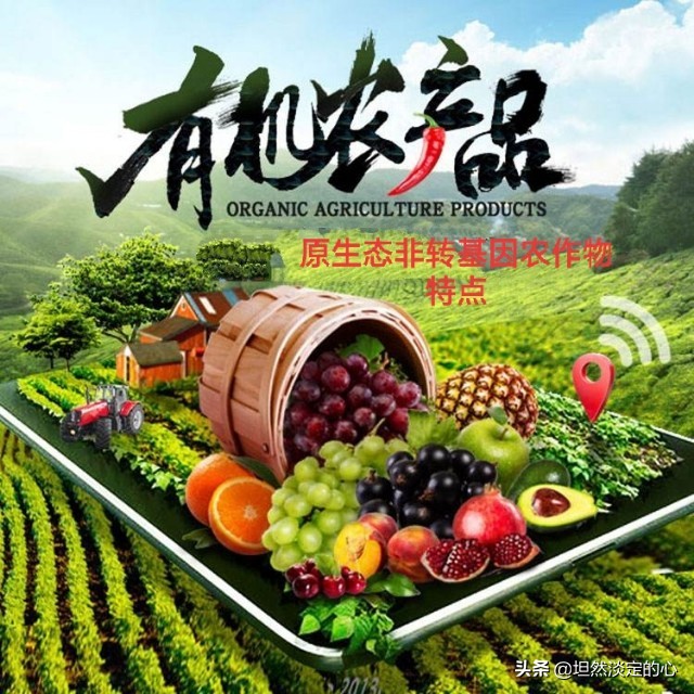 转基因和非转基因食品的标志,怎么区分非转基因农作物