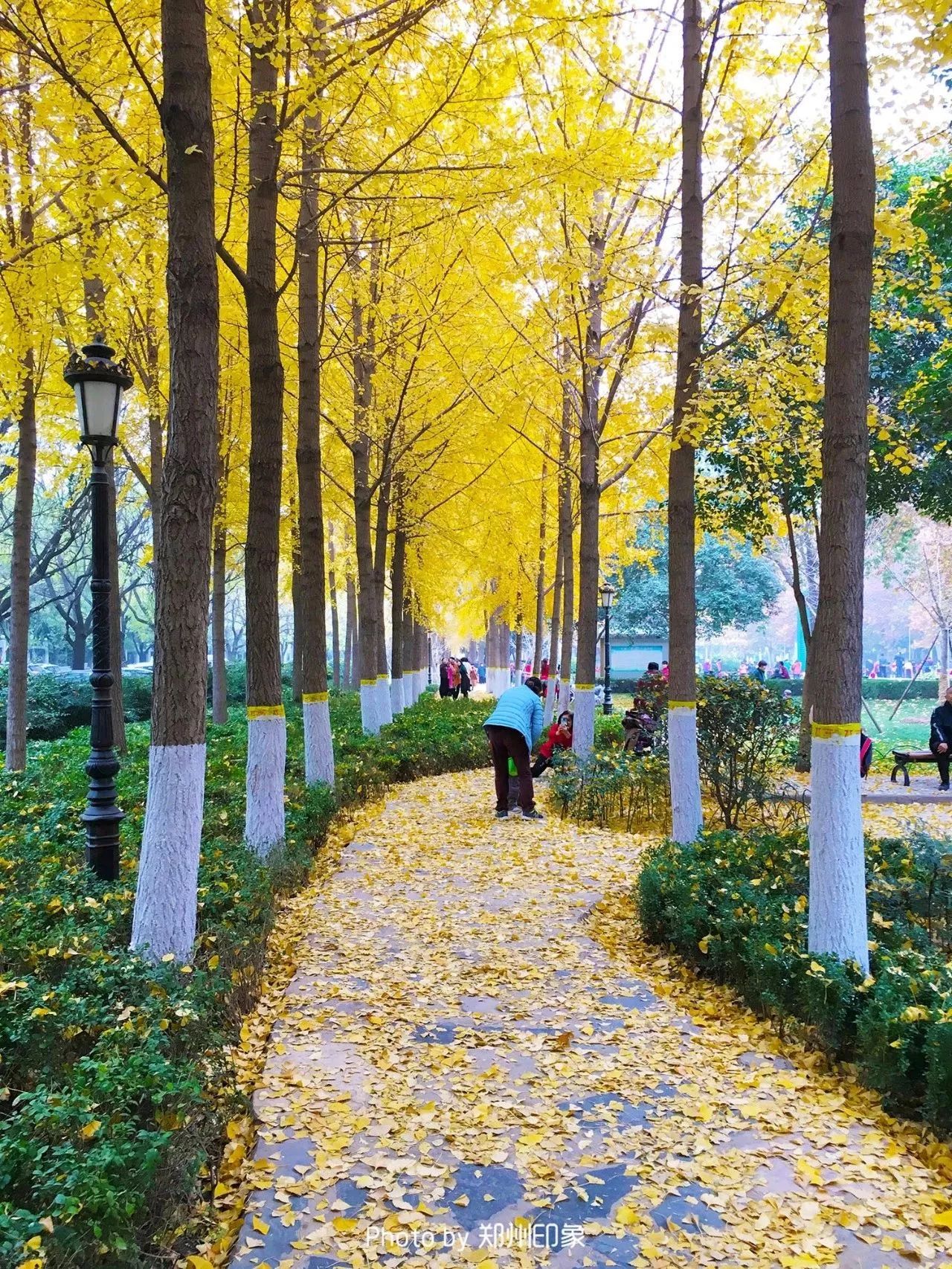 郑州漂亮的秋色风景,郑州的这些湖畔藏着最美的秋色