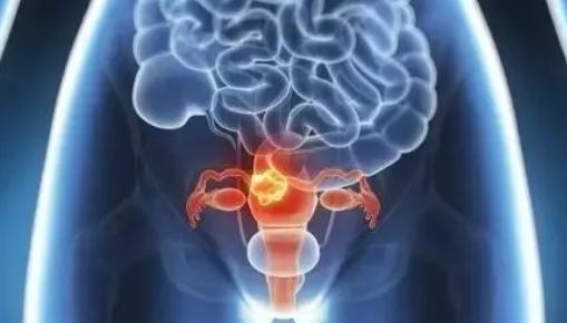 干细胞治疗卵巢早衰的最新研究,自体干细胞治疗卵巢早衰