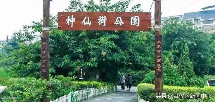 成都地铁2号线沿途景点,成都地铁三号线沿途有哪些景点