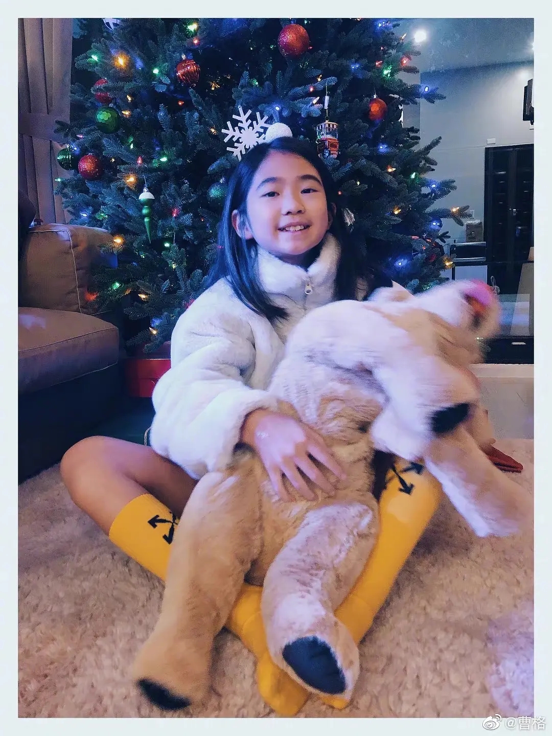 董洁向太,董洁和向太