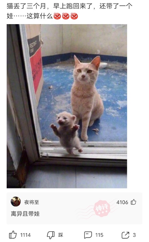 神回复脑洞套路,神回复各种套路