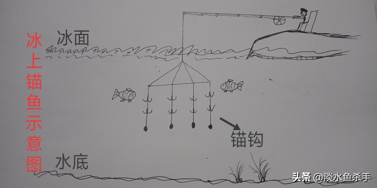它是新时代的产物,却人人喊打,深析:“锚鱼”不为人知的秘密