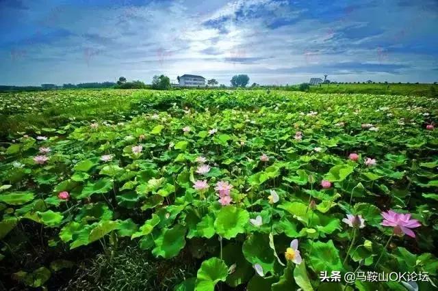 安徽十大强县当涂县,安徽61个县人均经济排名