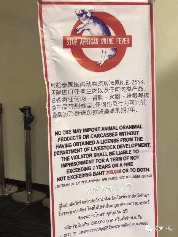 携带食品出境遭罚款,泰国入境带水果罚款罚多少