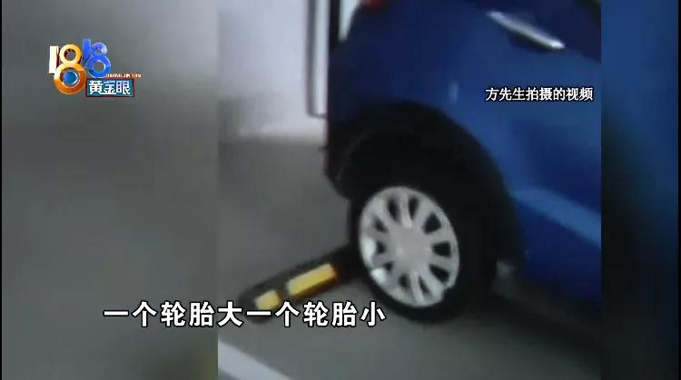 租小灵狗海门,租小灵狗月租费用