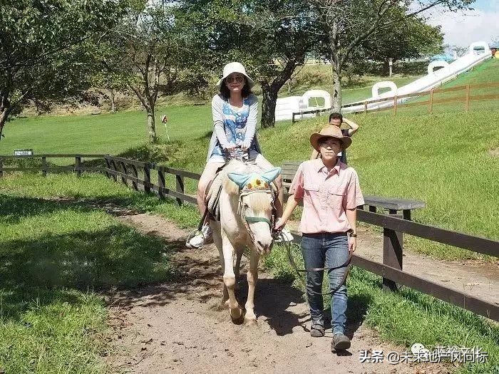 母亲牧场要玩多久,低成本花园家庭农场亲子乐园