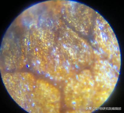 小米便携式显微镜,堪比望远镜的手机2000以下