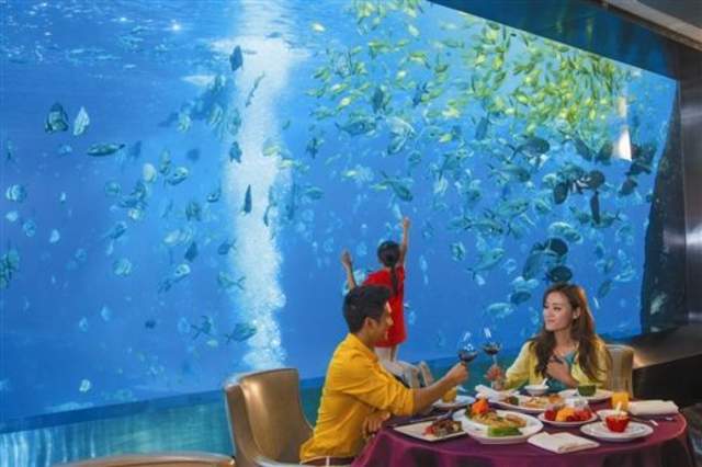 珠海长隆海洋王国游玩1天攻略,珠海长隆海洋王国1天游玩攻略