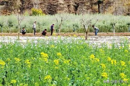 吹响决战决胜脱贫攻坚的号角,书写新时代的新答卷