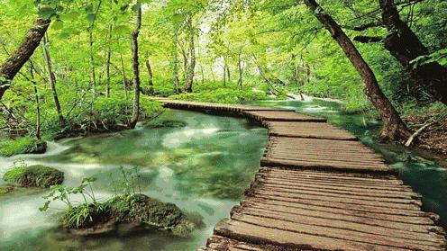 人生最美的风景是淡然,淡然人生最美的风景