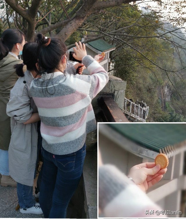 重庆桥都山城,重庆桥都之城