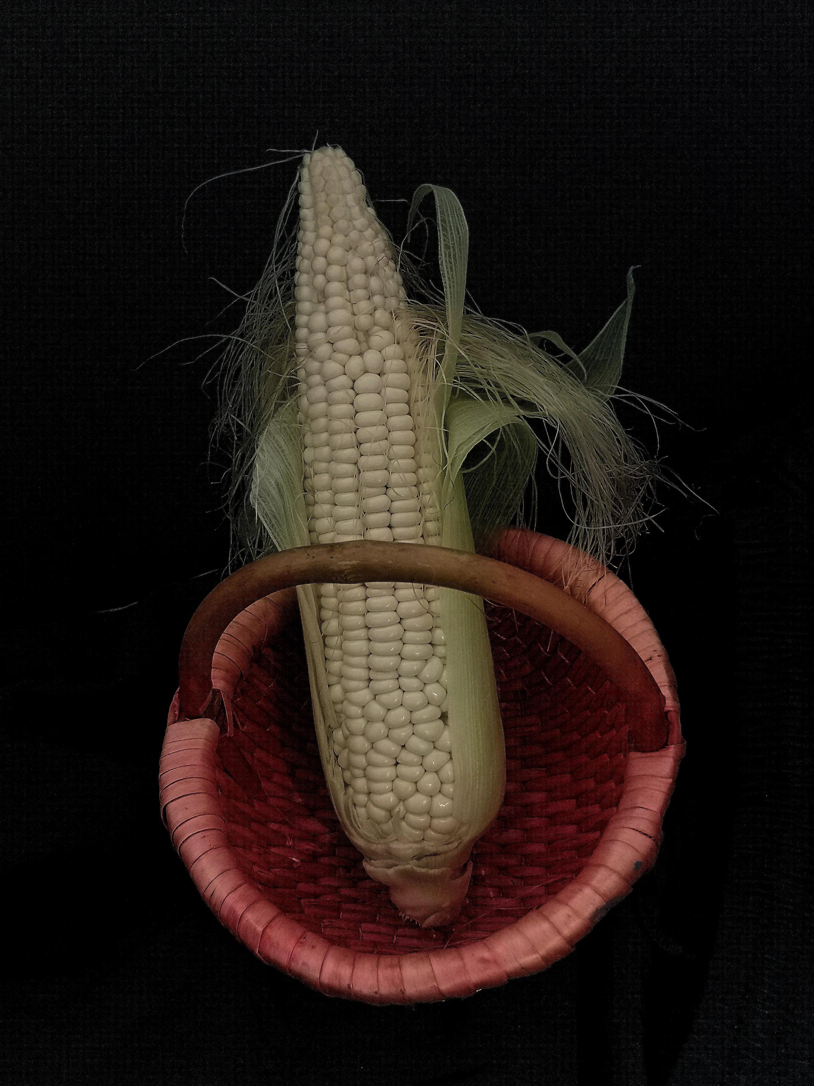 手拍世界作品集402期,2022年世界手机摄影大赛征稿