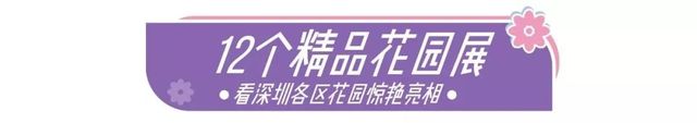 深圳史上最大最美的花展来啦,走进深圳仙湖植物园的国际花展