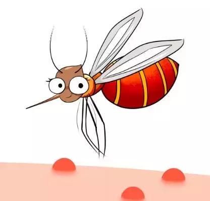 夏日防蚊虫叮咬超实用小窍门,夏天防蚊虫叮咬的最有效的方法