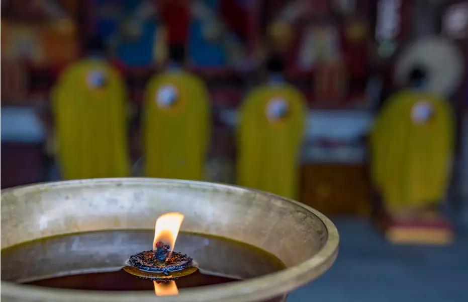 青城山熊猫谷都江堰一日游攻略,熊猫谷青城山都江堰一日游攻略