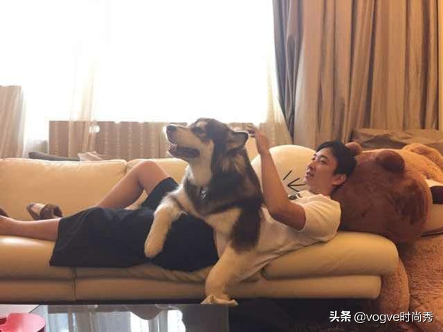 游戏陪练师的收入高吗,游戏陪练花了几十万