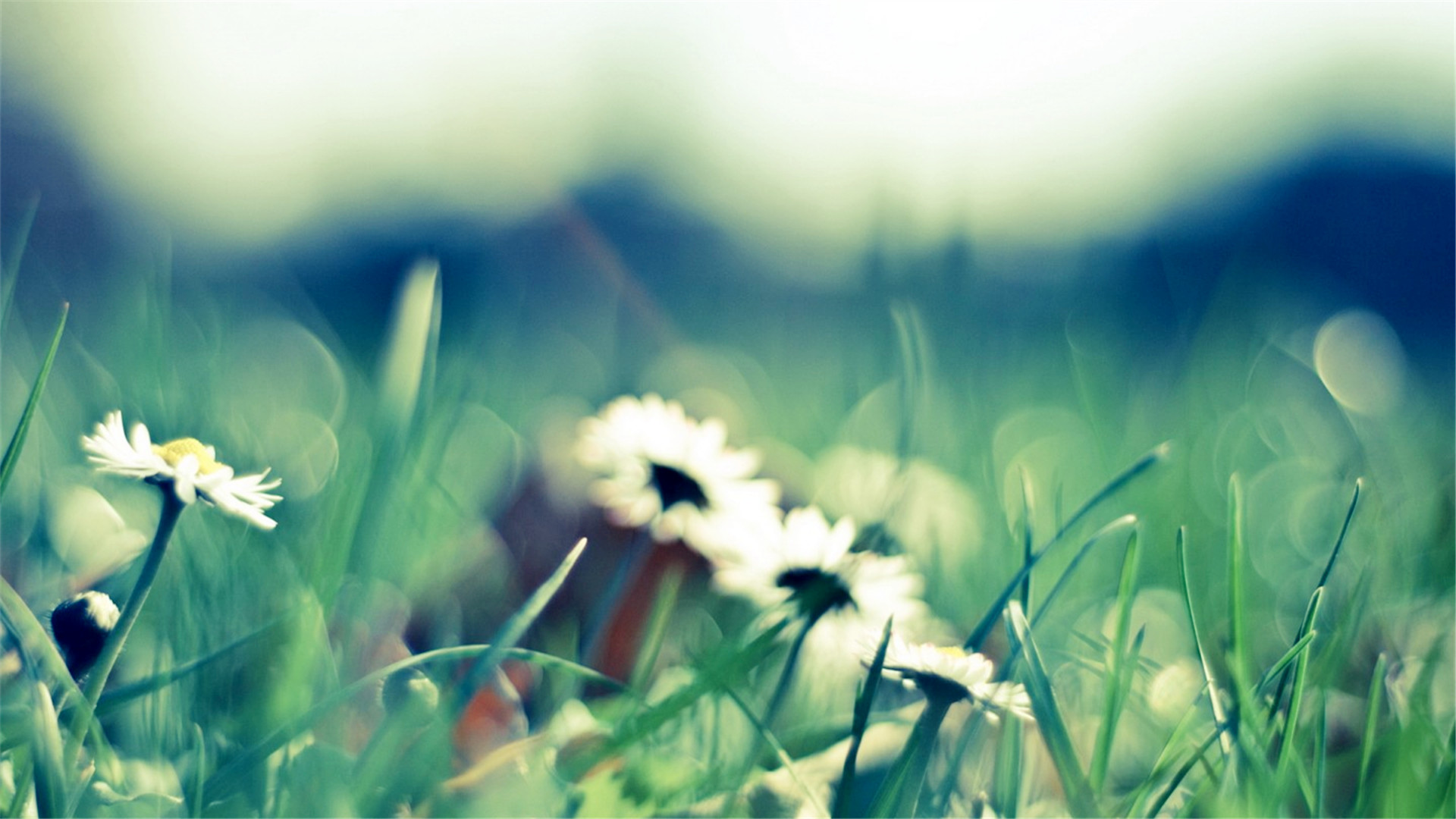 心理学丨太害怕死亡？这么做，可以让你坦然面对它