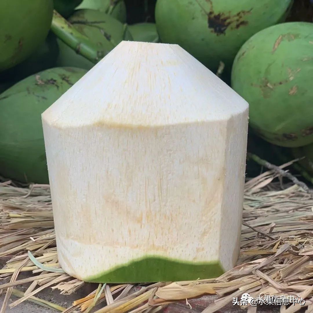 海南水果都有哪些品种图片及名称,海南水果上市时间表赶快收藏吧