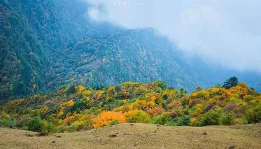 想带你去欣赏秋季的童话——甘海子