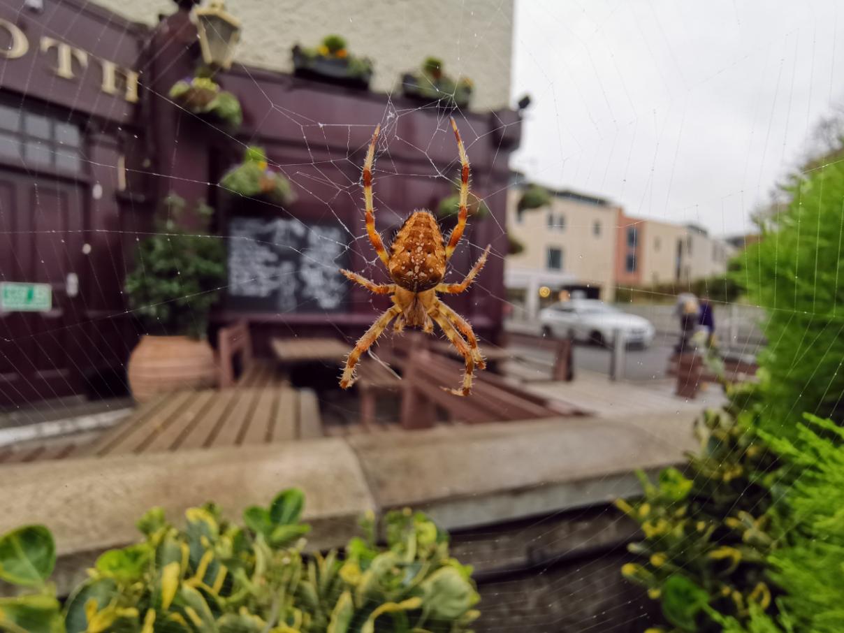 华为mate20pro和mate30pro哪个好,华为mate20pro和苹果xsmax