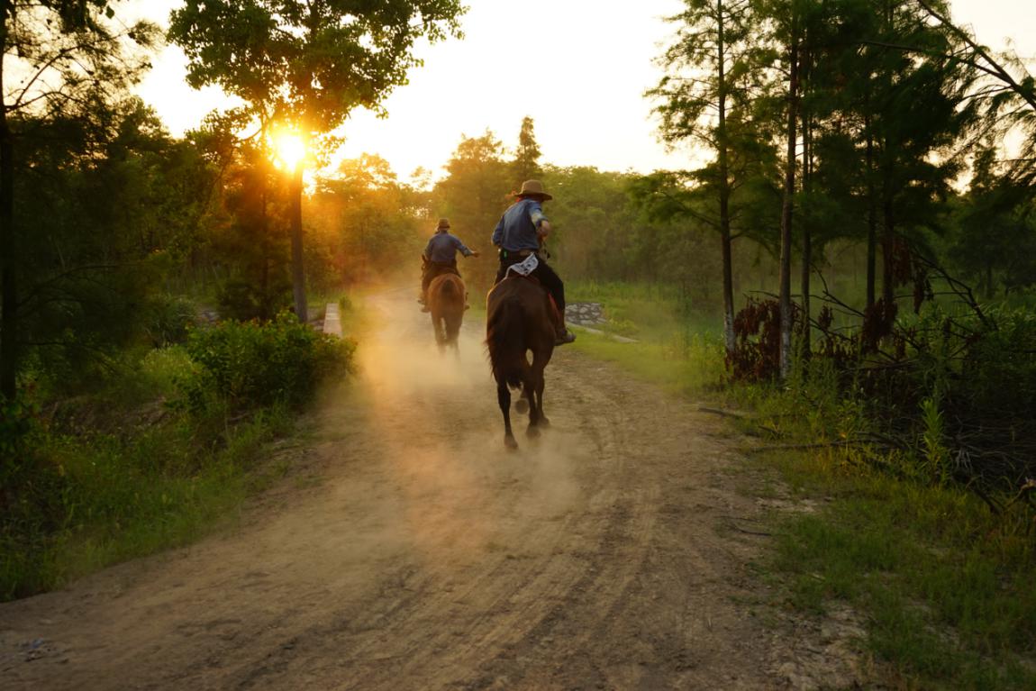 开长城炮皮卡畅享自由，身居北京也能过西部牛仔生活