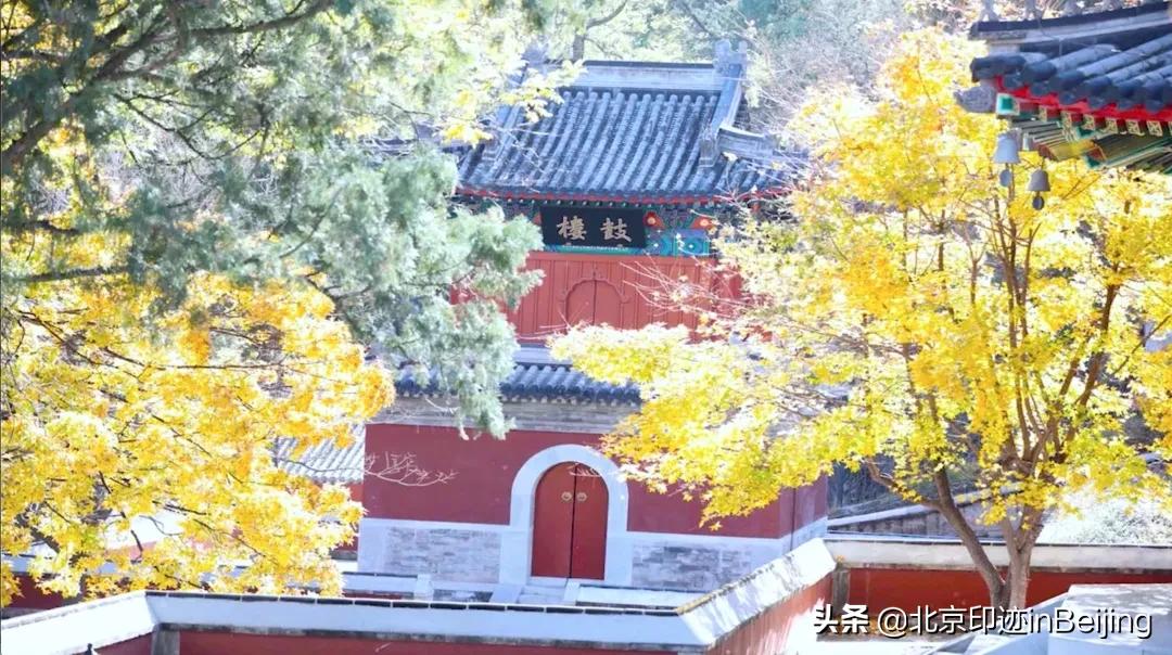 香山静宜园图片大全,香山静宜园二十八景