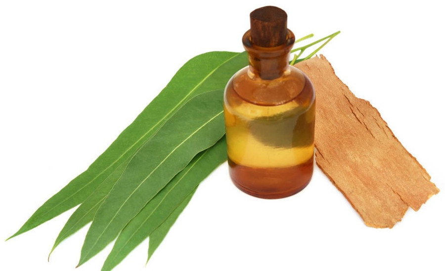 新能源最新解析,目前发展比较成熟的新能源