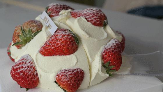 这两家童话般的“魔法蛋糕店”，也太香了吧