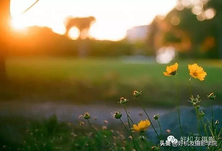 最简单的灯光技巧,简单有效灯光方案