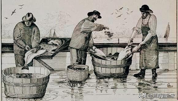 挪威北极鳕鱼和南极鳕鱼的区别,去挪威旅游吃海鲜