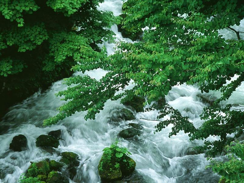 宣州谢朓楼饯别校书叔云写作时间,宣州谢朓楼饯别校书叔云赏析